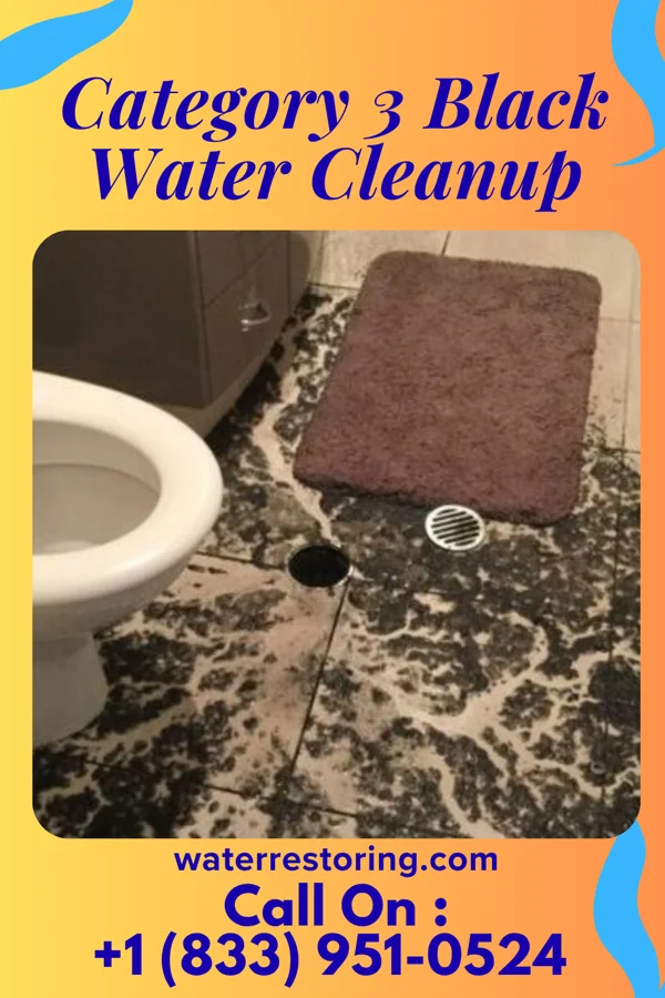 Category 3 Black Water Cleanup in Pineville, AR