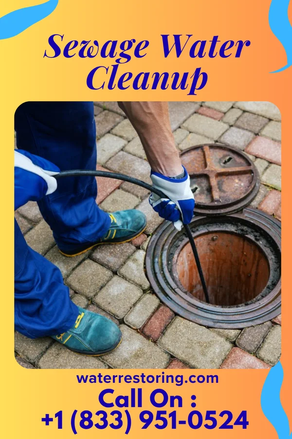Sewage Water Cleanup in Pineville, AR