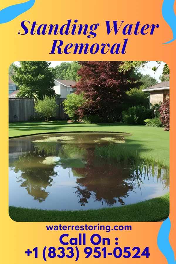 Standing Water Removal in Pineville, AR